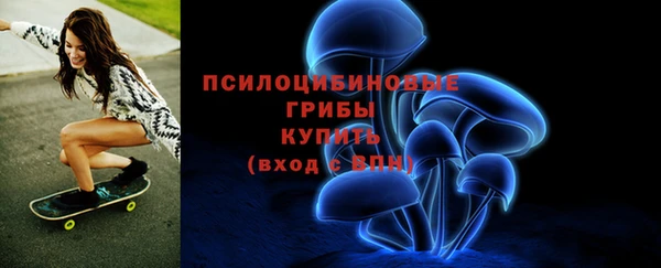 спиды Верея