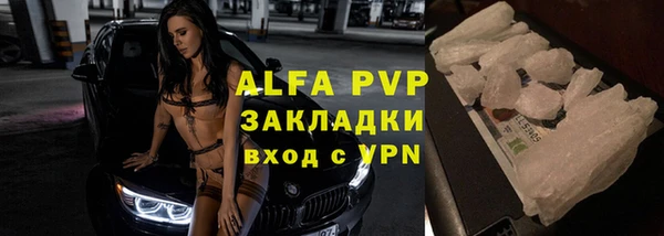спиды Верея