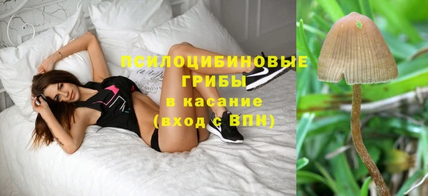 спиды Верея