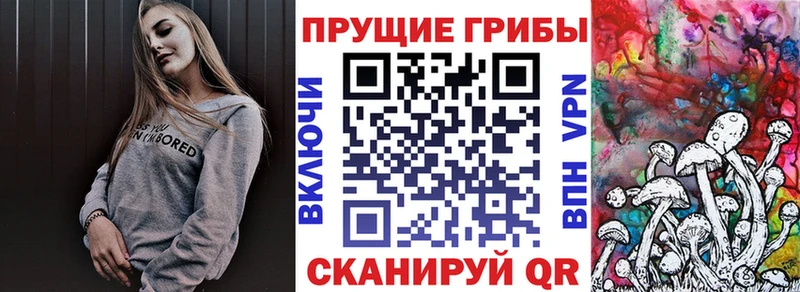 Псилоцибиновые грибы Cubensis  где можно купить наркотик  Иланский 